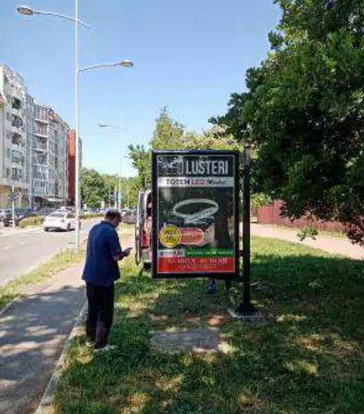 Braće Ribnikar, Miše Dimitrijevića raskrsnica
